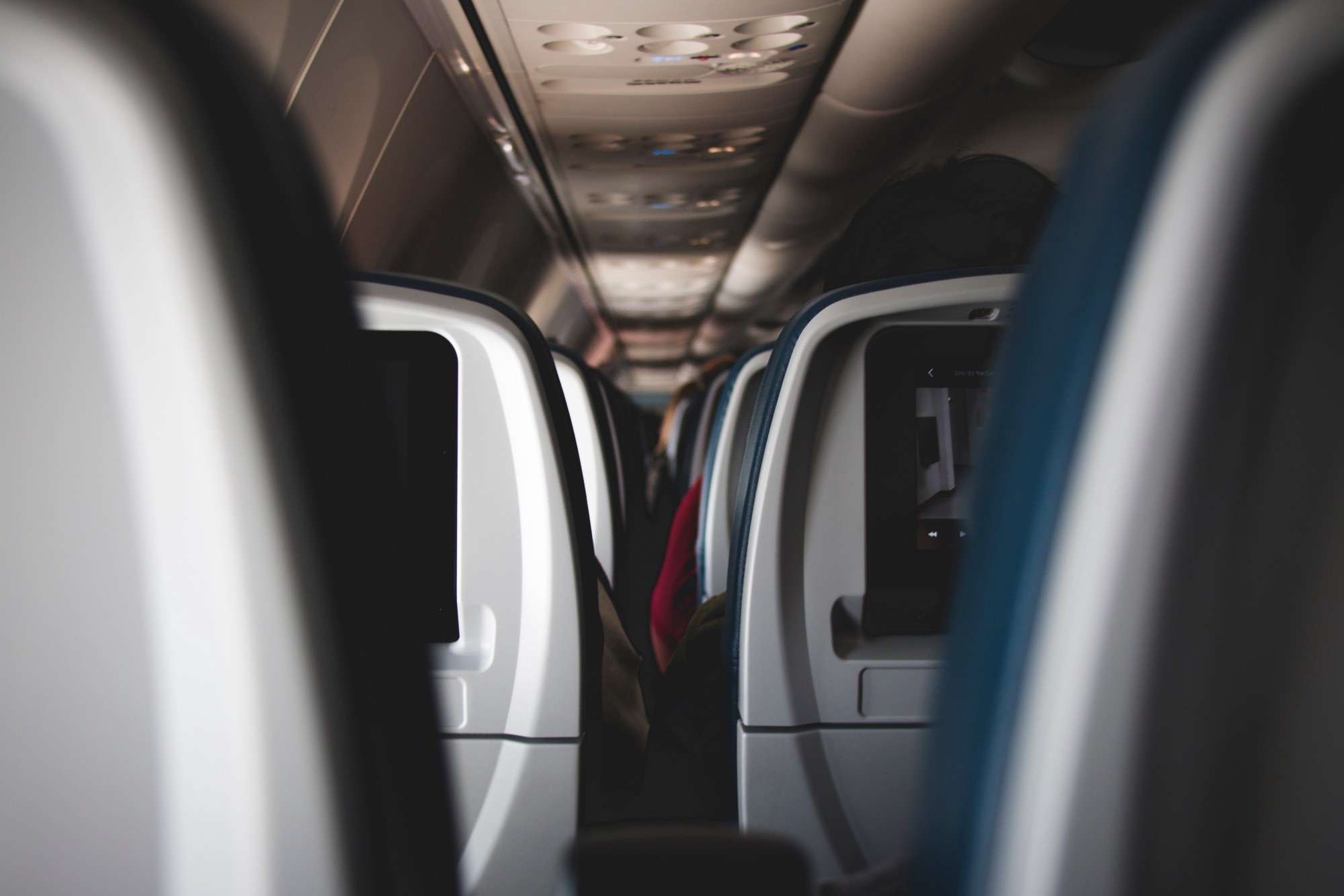 Photo by Steve Halama on Unsplash